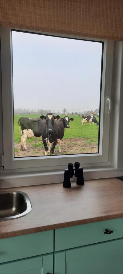 La Vache Au Lit Villa Damme Exterior photo